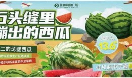 吃瓜是什么意思 热门大瓜每日必吃大瓜